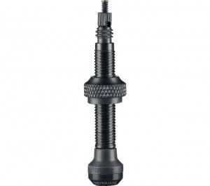Schwalbe Tubeless Ventilset 2er Pack Aluminium schwarz eloxiert 40mm SV Presta